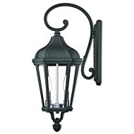 Morgan 2-Light Outdoor Wall Lantern in Textured Black w with Antique Silver Cluster