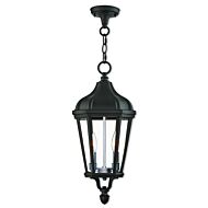 Morgan 2-Light Outdoor Pendant in Textured Black w with Antique Silver Cluster