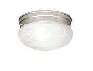 Ceiling Space 2-Light Flush Mount in Brushed Nickel