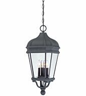 The Great Outdoors Harrison 4 Light 29 Inch Outdoor Hanging Light in Black