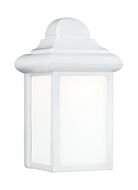 Mullberry Hill 1-Light Outdoor Wall Lantern in White
