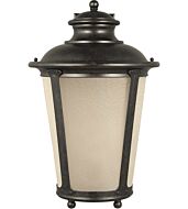 Sea Gull Cape May Outdoor Wall Light in Burled Iron