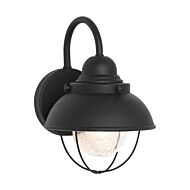 Sebring 1-Light Outdoor Wall Lantern in Black