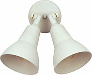 Spots 2-Light Outdoor Wall Lantern in White