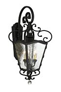 The Great Outdoors Brixton Ivy 3 Light Outdoor Hanging Light in Coal with Honey Gold Highlight