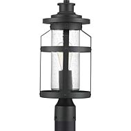 Haslett 1-Light Post Lantern in Black