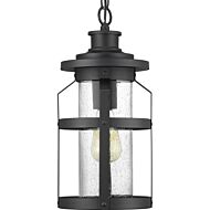 Haslett 1-Light Hanging Lantern in Black