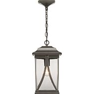Abbott 1-Light Hanging Lantern in Antique Bronze