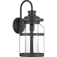 Haslett 1-Light Wall Lantern in Black