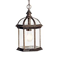 Barrie 1-Light LED Outdoor Pendant in Tannery Bronze