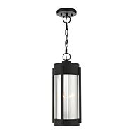 Sheridan 2-Light Outdoor Pendant in Black w with Brushed Nickels
