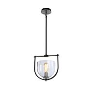 Cheshire Collection 1-Light Pendant in Black and Nickel