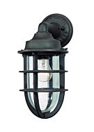 Troy Wilmington 15 Inch Outdoor Wall Light in Nautical Rust