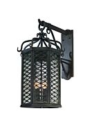 Troy Los Olivos 4 Light 26 Inch Outdoor Wall Light in Old Iron