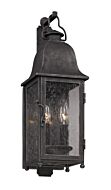 Troy Larchmont 2 Light 19 Inch Outdoor Wall Light in Aged Pewter