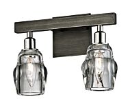 Citizen 2-Light Bathroom Vanity Light in Graphite with Polished Nickel