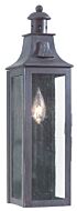 Troy Newton 18 Inch Outdoor Wall Light in Old Bronze