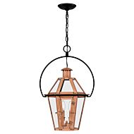 Burdett 2-Light Outdoor Hanging Lantern in Aged Copper