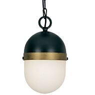 Brian Patrick Flynn for Crystorama Capsule 11 Inch Pendant Light in Black And Gold