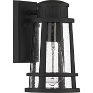 Quoizel Dunham 6 Inch Outdoor Hanging Light in Earth Black