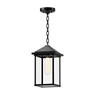 Larchmont 1-Light Exterior Pendant in Clear Glass with Textured Black