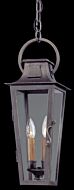 Troy Parisian Square 2 Light 21 Inch Pendant Light in Aged Pewter