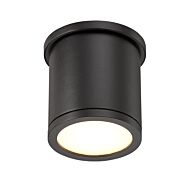 Tube 1-Light LED Flush Mount Ceiling Light in Black