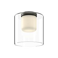 Birch LED Flush Mount in Black with Clear Glass