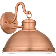 Jameson 1-Light Outdoor Lantern in Aged Copper