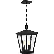 Joffrey 2-Light Outdoor Hanging Lantern in Matte Black