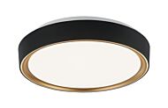 Alamus 1-Light Ceiling Mount in Aged Gold Brass with Matte Black