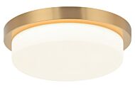 Durham 1-Light LED Ceiling Mount in Aged Gold Brass