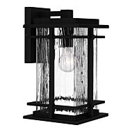 McAlister 1-Light Outdoor Wall Mount in Earth Black