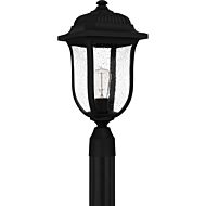 Mulberry 1-Light Outdoor Lantern in Matte Black