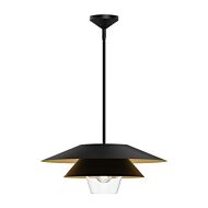 Tetsu 1-Light Pendant in Matte Black with Clear Glass