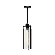 Belmont 1-Light Pendant in Matte Black with Clear Water Glass
