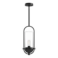 Cyrus 1-Light Pendant in Matte Black with Clear Glass