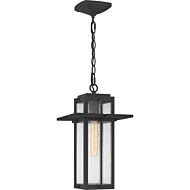 Randall 1-Light Outdoor Hanging Lantern in Mottled Black