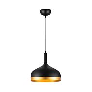 Dash Collection 1-Light Pendant in Black and Gold