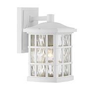 Quoizel Stonington 7 Inch Outdoor Wall Lantern in White Lustre