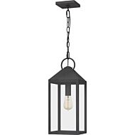 Thorpe 1-Light Outdoor Hanging Lantern in Mottled Black