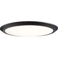 Quoizel Verge 20 Inch Ceiling Light in Oil Rubbed Bronze