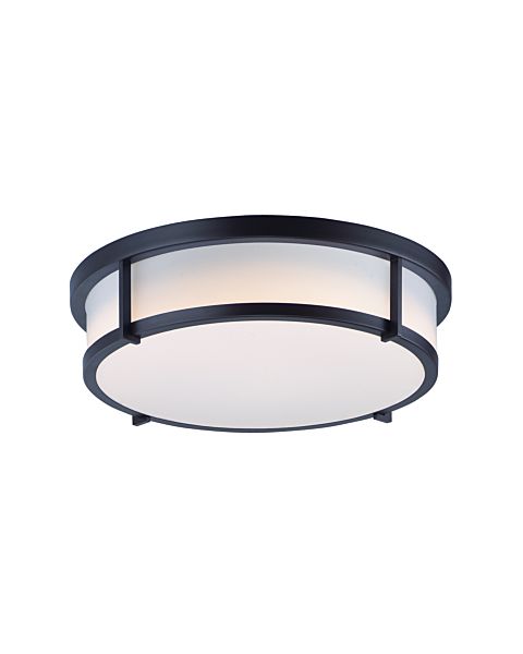  Rogue Ceiling Light in Black