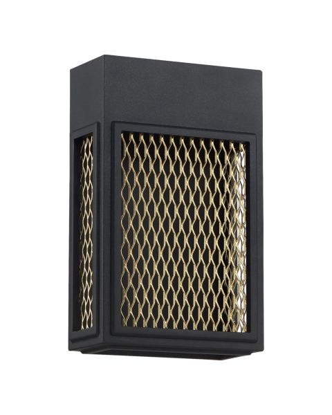 Access Metro Outdoor Wall Light in Black and Gold