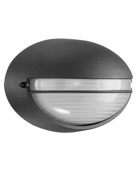 Access Clifton Outdoor Wall Light in Black