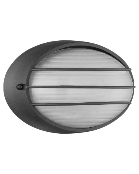 Access Cabo Outdoor Wall Light in Black