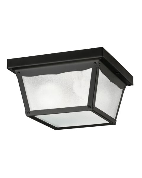 Outdoor Miscellaneous 2-Light Outdoor Ceiling Mount in Black