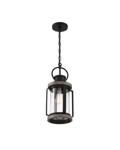 Savoy House Parker 1 Light Outdoor Hanging Lantern in Lodge