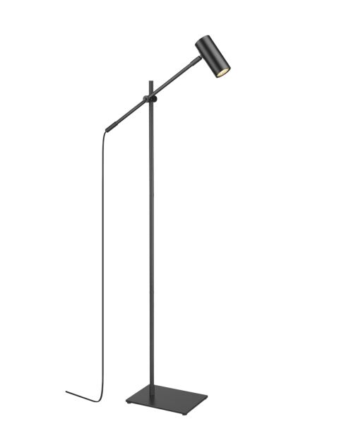 Z-Lite Calumet 1-Light Floor Lamp Light In Matte Black