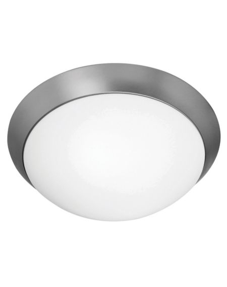 Access Cobalt Ceiling Light in Brushed Steel